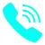 icons8-phone-50 (1)